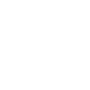 Github logo