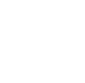 Zeppelin Studio logo